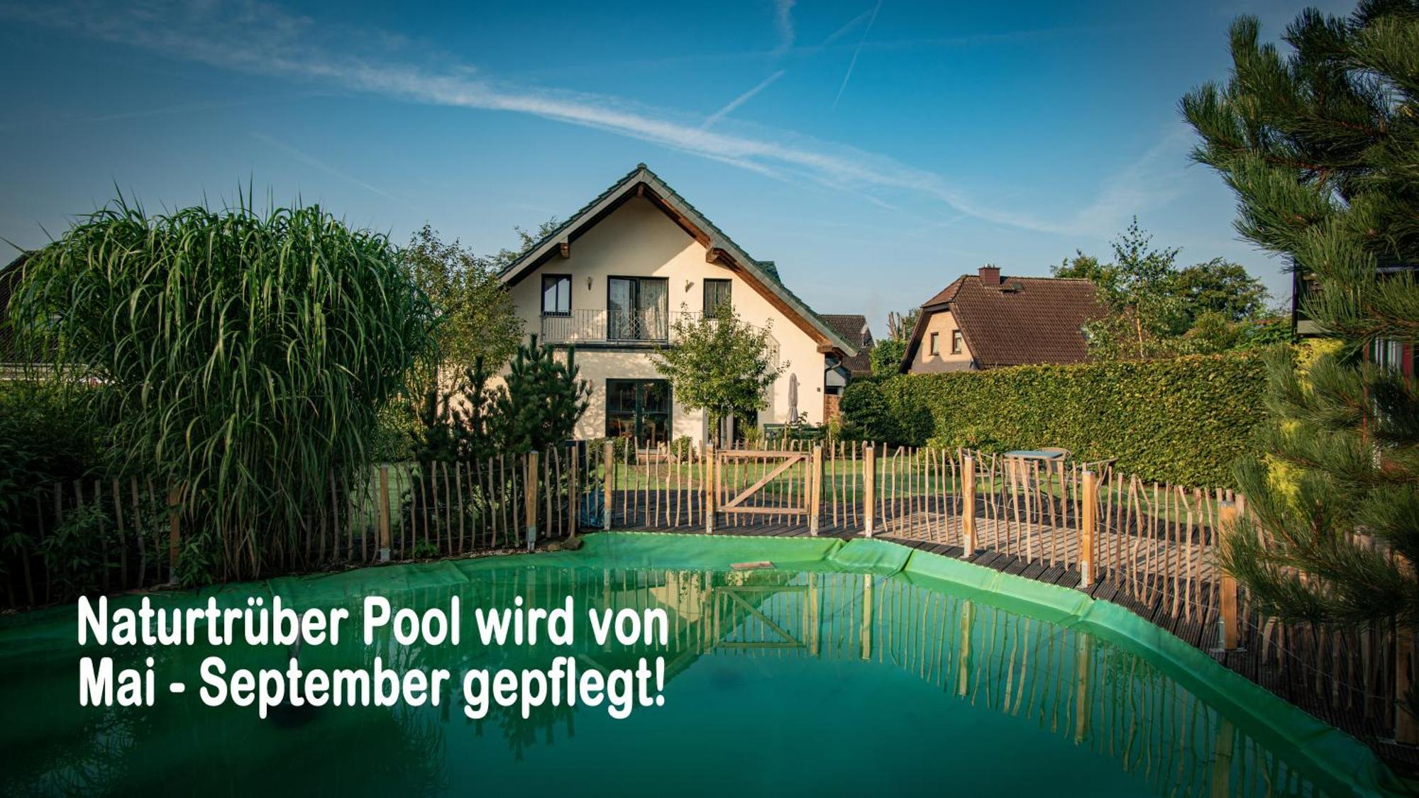 Ferienhaus Mountfrosch Mit Sauna Und Naturpool 蒙绍 外观 照片